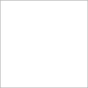 JANTEX WHITE JT TINT